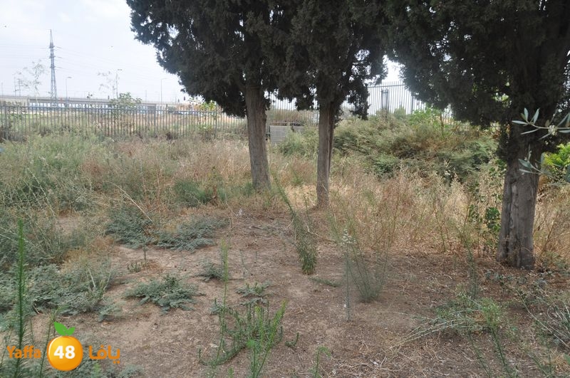 af3a lud 902 school (7).JPG